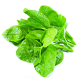 智能優(yōu)勢(shì)